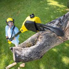 Trusted East Brooklyn, CT Tree Removal and Landscaping Services Experts